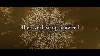 OCEAN SECRETS  Everlasting Seaweed a scientific achievement [upl. by Atiniv]