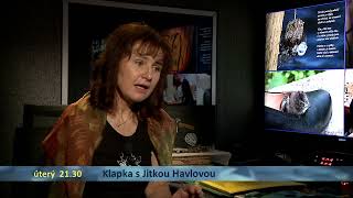 Klapka s Jitkou Havlovou na tvnoe [upl. by Zuleika550]