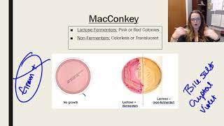 Laboratory tests media and techniques [upl. by Ardith926]