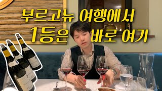 올리비에 르플레이브Olivier Leflaive 호텔 레스토랑🥂 프랑스 부르고뉴 여행에서 꼭 가봐야할 곳 [upl. by Auqenat]