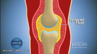 Synovial Fluid [upl. by Odlaner]