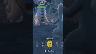 How to Catch Shiny ✨ Giratina in Pokemon Violet [upl. by Ahsimin]