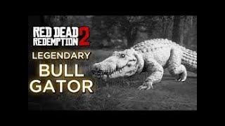 Red Dead Redemption 2 Legendary Bull Gator [upl. by Girish]