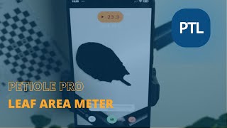 How to measure leaf area manually in real time with Android smartphone [upl. by Aineval]