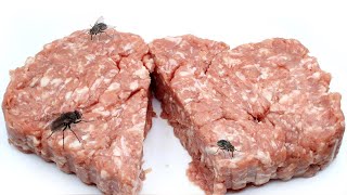 Timelapse  MINCED MEAT with FLY MAGGOTS [upl. by Annahsar]