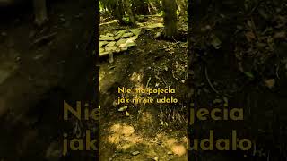 Autorski zjazd mtb downhill [upl. by Eeral]