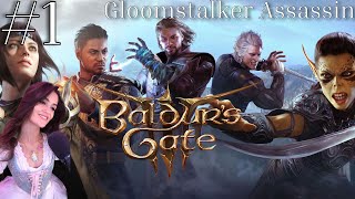 Part 1 Baldurs Gate 3 Gloomstalker Assassin Solo Run [upl. by Yelra]