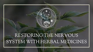 Restoring the Nervous System with Herbal Medicines [upl. by Anairt800]