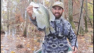 AWESOME Slab Crappie CATCH and COOK [upl. by Rabma]