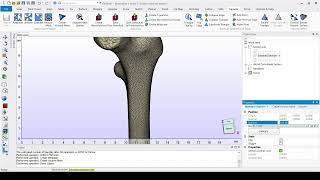 Tutorial How to Prepare a Bone Model for FEA [upl. by Baxie]