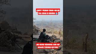 SETUJUKAH JIKA PETRUS DI AKTIFKAN KEMBALI 🥶😱 tniindonesia news tnia tnirakyat memes tni tniad [upl. by Derron]