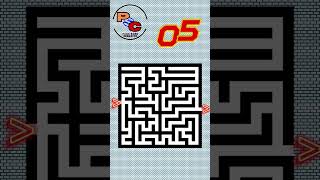 8 Second Maze 56 [upl. by Hazem484]