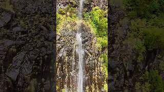 💦 Madeira Waterfalls  Risco Waterfall  Shot on DJI Mini 4 Pro shorts water waterfall nature [upl. by Cathie]