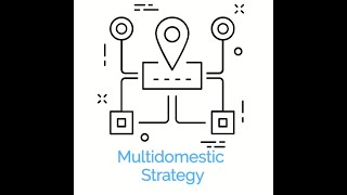 Multidomestic Strategy [upl. by Cartwright]