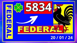 Federal 5834  Resultado do Jogo do Bicho das 19 horas pela Loteria Federal [upl. by Matejka]