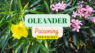 Oleander poisoning  toxicology  FMT [upl. by Ynnal]