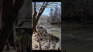 Gotta Visit Tishomingo State Park in Mississippi pt1 travel adventure mississippi [upl. by Naahsar]