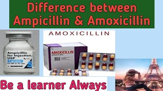 Difference between Ampicillin amp Amoxicillin [upl. by Nemajneb941]