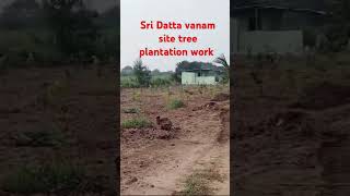 All About tree plantation work pochanna pet [upl. by Male]