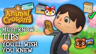 10 Tips I WISH I Knew Sooner in Animal Crossing New Horizons [upl. by Auqinihs]