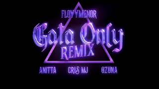 gata only remix  floyymenor x anitta x ozuna CON CRIS MJ [upl. by Ailgna]