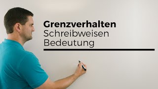 Grenzverhalten Grenzwert Was ist Was Teil 1 Schreibweisen Bedeutung  Mathe by Daniel Jung [upl. by Neitsirk369]