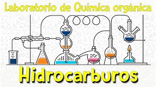 Práctica de laboratorioHidrocarburos [upl. by Tijnar]