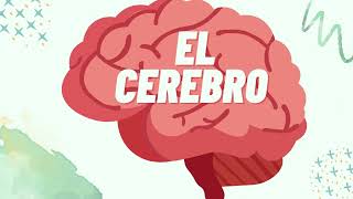 Actividad P1 Neuropsicologia [upl. by Ahcorb4]