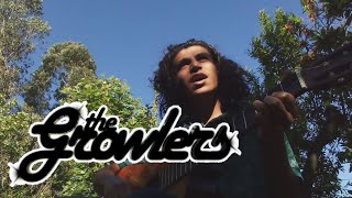 Natural Affair  The Growlers Cover [upl. by Yevrah]