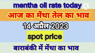 14 अप्रैल 2023 मेंथा ऑयल का आज का भाव mentha oil rate menthaoilratetoday [upl. by Gilleod30]