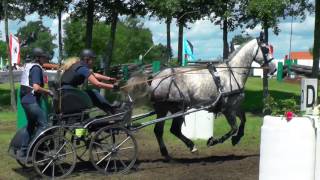 Einspänner  Drebkau Marathon 2016 [upl. by Assilram469]