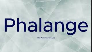 Phalange Pronunciation How to Pronounce Phalange  Can You Say Phalange Right [upl. by Hirza]