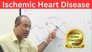 Ischemic Heart Disease  Myocardial Infarction  Cardiology🫀 [upl. by Asia39]