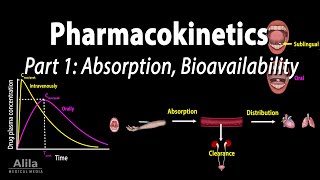 Pharmacokinetics part 1 Overview Absorption and Bioavailability Animation [upl. by Ita]