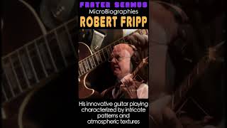 Robert Fripp  guitar in the 5th dimension [upl. by Ellek]