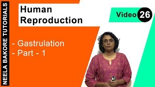 Human Reproduction  NEET  Gastrulation  Part 1  Neela Bakore Tutorials [upl. by Haon]