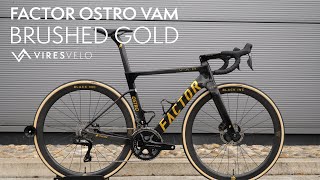 Factor OSTRO Vam Brushed Gold [upl. by Tnemelc998]