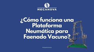 PLATAFORMA NEUMÁTICA de FAENADO VACUNO  EXPERTO explica su funcionamiento [upl. by Sverre]