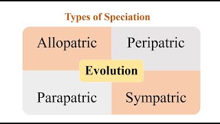 Types of Speciation [upl. by Lorrimor552]