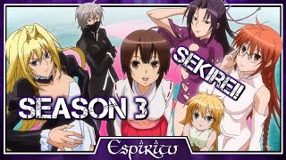 Sekirei Season 3 Will Happen [upl. by Lela619]