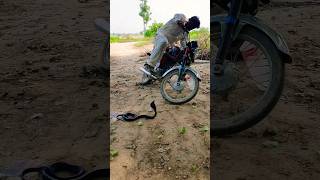 motercycle k samany naag oyeshortsvideosshortfeed wildlifeviralvideoduet reelsshortstranding [upl. by Sailesh]