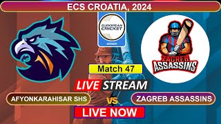 🔴Croatia T10 Live  Afyonkarahisar SHS vs AssassinsZ Live Cricket Score amp Commentary [upl. by Viguerie620]