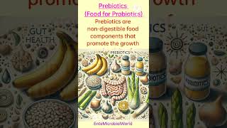 Probiotics amp Prebiotics EnteMicrobialWorld prebiotics probiotics guthealth shortsfeed yt [upl. by Haimehen]