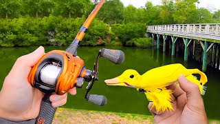 Fishing a Duck Lure for Pond MONSTERS [upl. by Ydnat559]