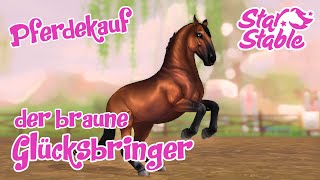 Star Stable SSO Pferdekauf  Der braune Glücksbringer Lipizzaner [upl. by Coh]