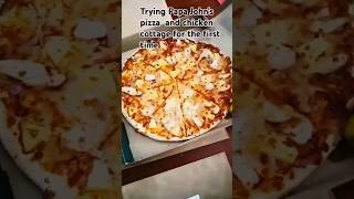 Trying Papa Johns pizza and chicken cottage pizza papajohns wings firsttime [upl. by Elagibba522]