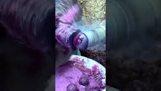 How amethyst small sphere are made helmsmancrystal crystalssphere gemstone stone factory [upl. by Aralomo770]