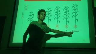 Molecular Basis of heterosis  Heterosis types  Biochemical  physiological basis [upl. by Bill]