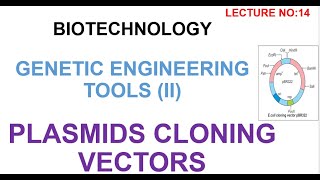 Plasmid Vectors  plasmid cloning vectors  biotecnology lectures [upl. by Ahsi]