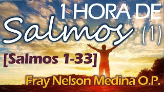 🔔 1 HORA DE SALMOS 🔸 Narrados por Fray Nelson Medina OP [upl. by Ethelinda]